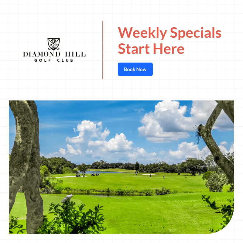 Diamond Hill Twilight 10 Play Punch Card WebPopUp 1 1